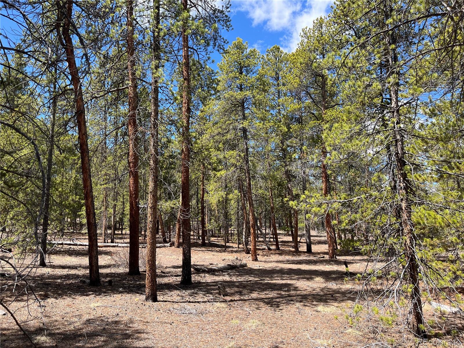 1013 Sequoia Drive Twin Lakes CO 81251