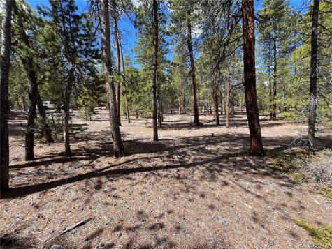 1013 Sequoia Drive Twin Lakes CO 81251