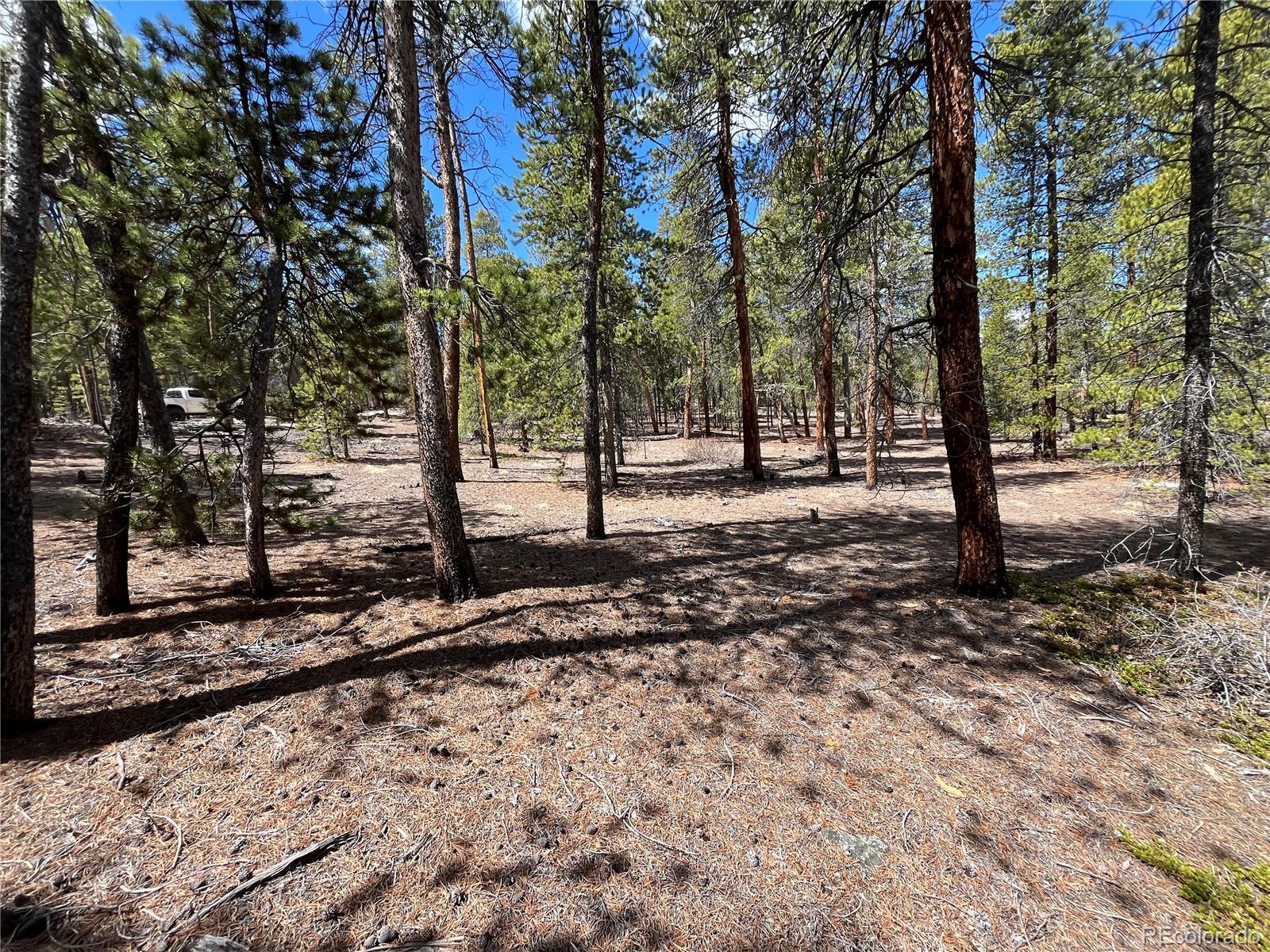 1013 Sequoia Drive Twin Lakes CO 81251