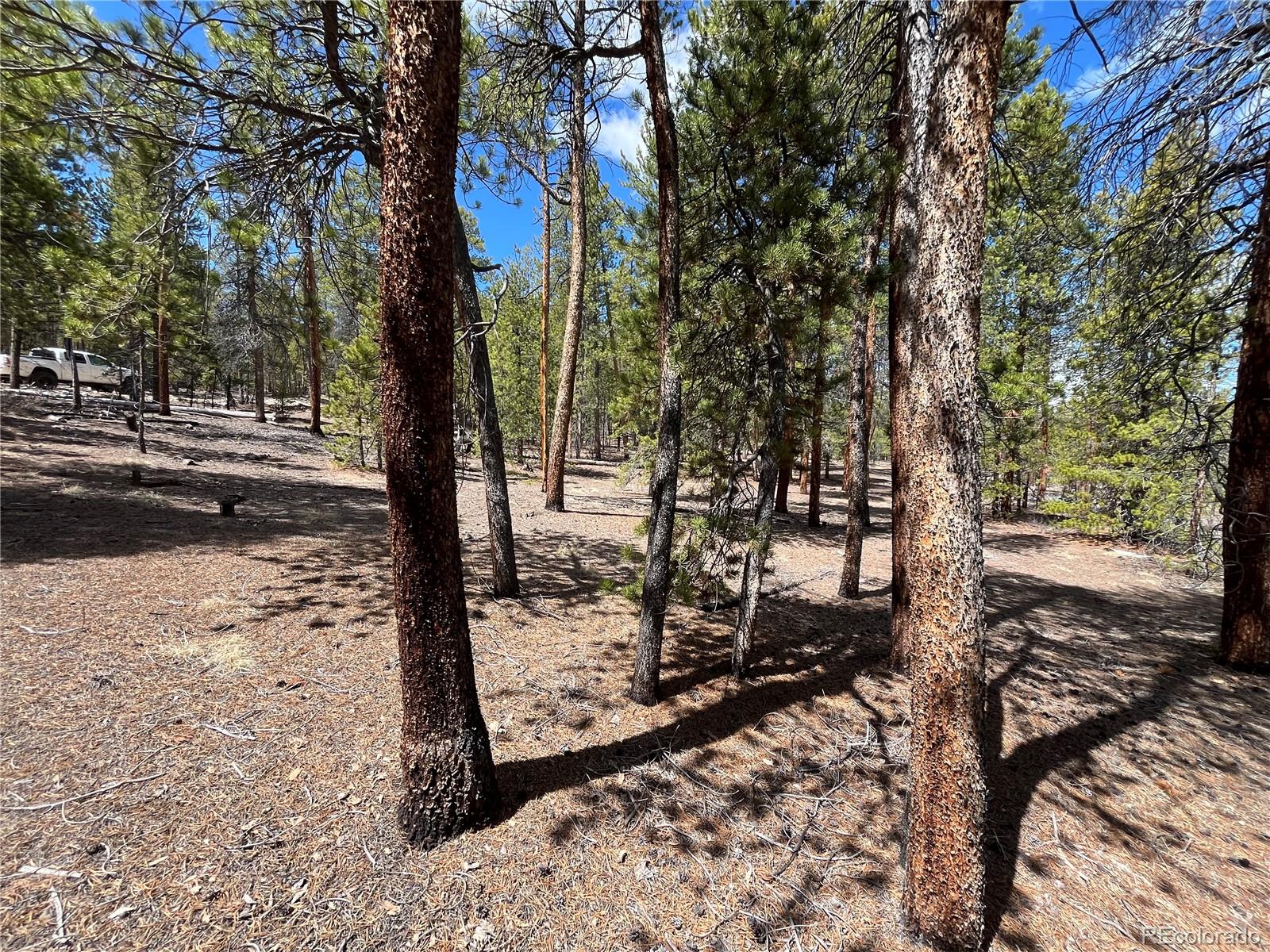 1013 Sequoia Drive Twin Lakes CO 81251