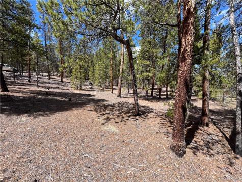 1013 Sequoia Drive Twin Lakes CO 81251