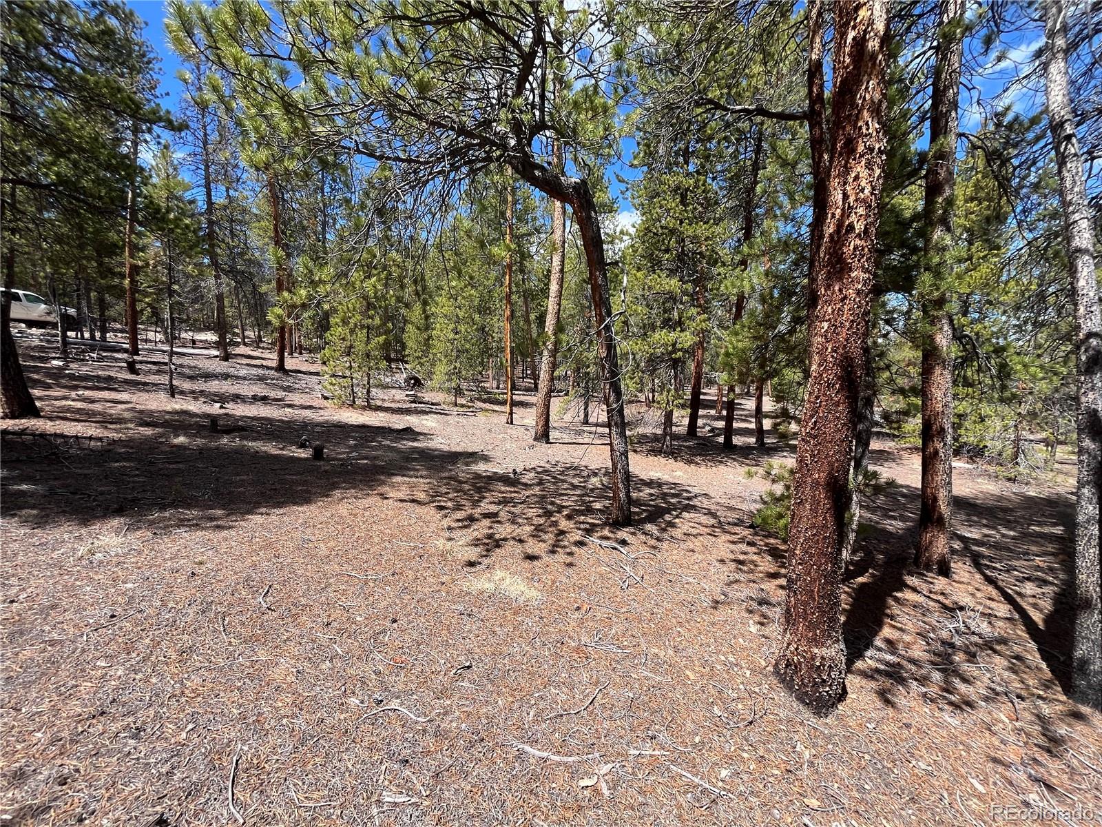 1013 Sequoia Drive Twin Lakes CO 81251