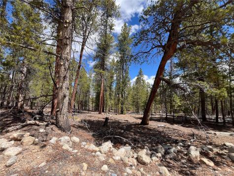 1013 Sequoia Drive Twin Lakes CO 81251
