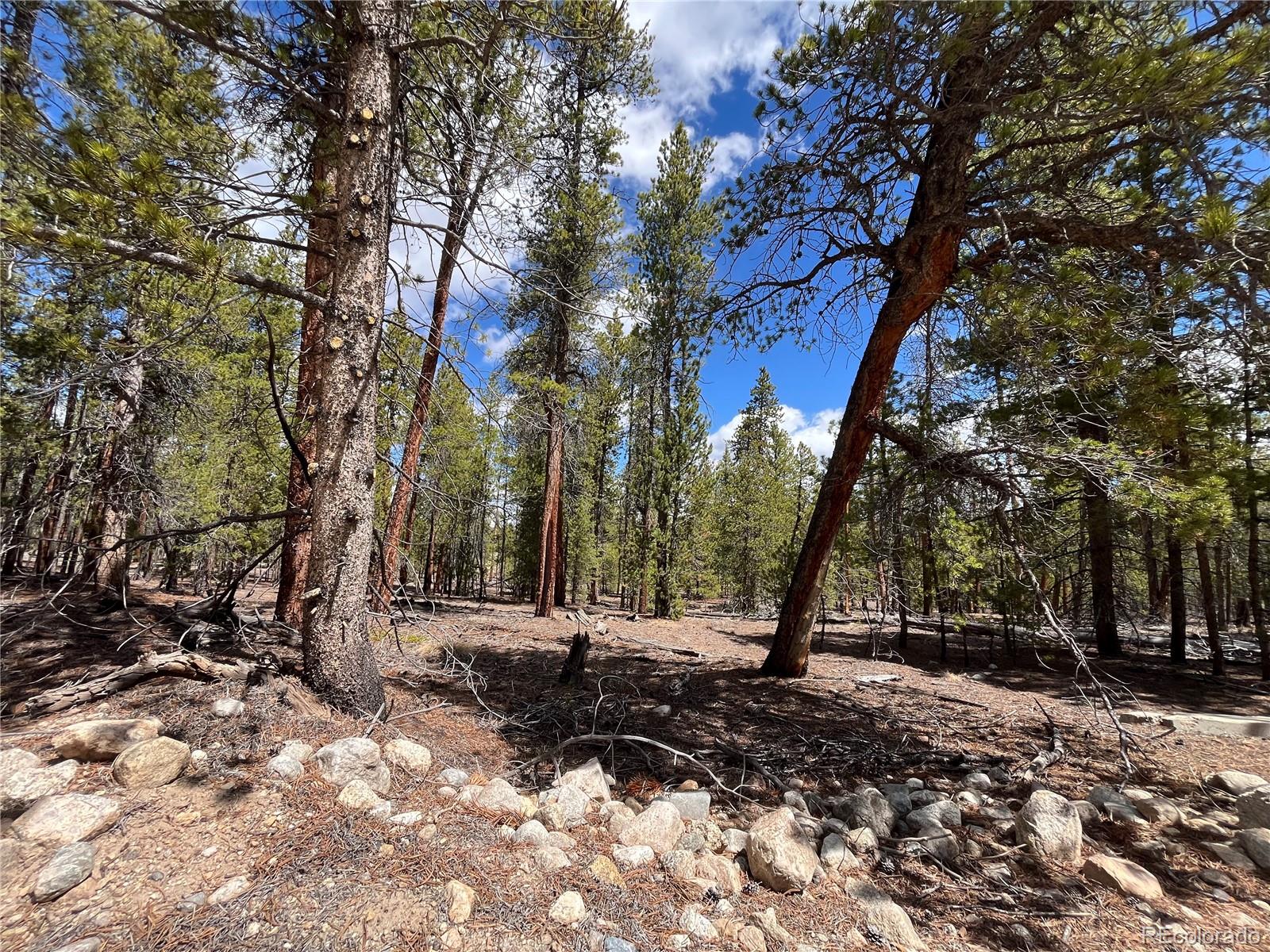 1013 Sequoia Drive Twin Lakes CO 81251