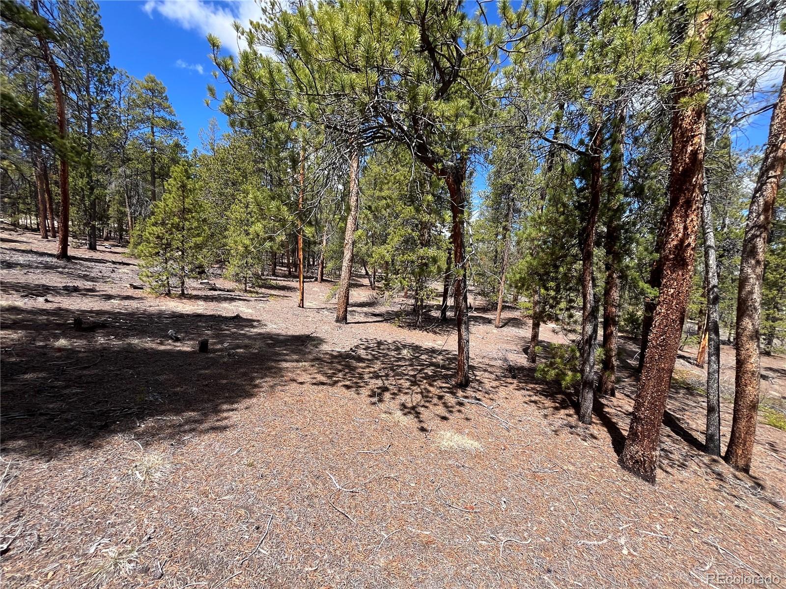 1013 Sequoia Drive Twin Lakes CO 81251