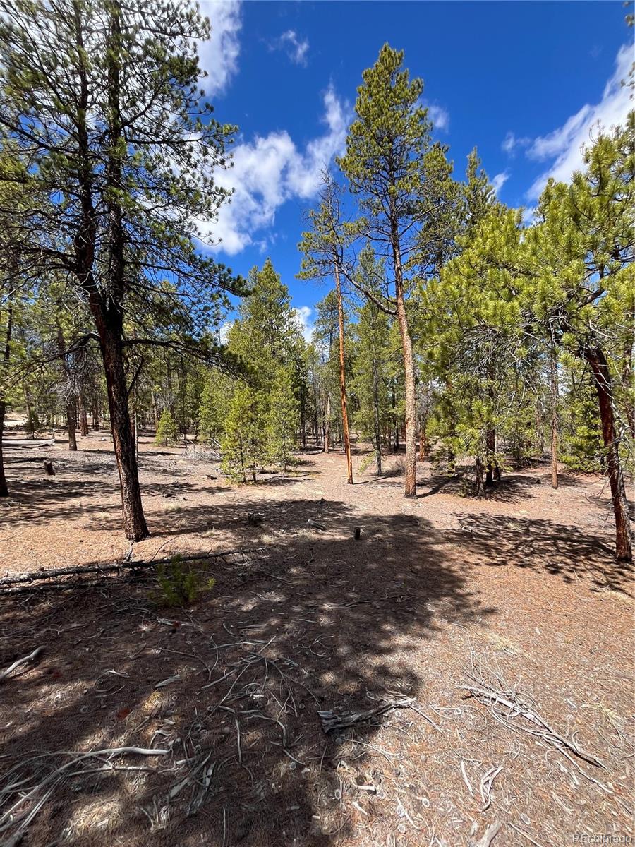 1013 Sequoia Drive Twin Lakes CO 81251