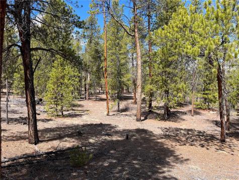 1013 Sequoia Drive Twin Lakes CO 81251