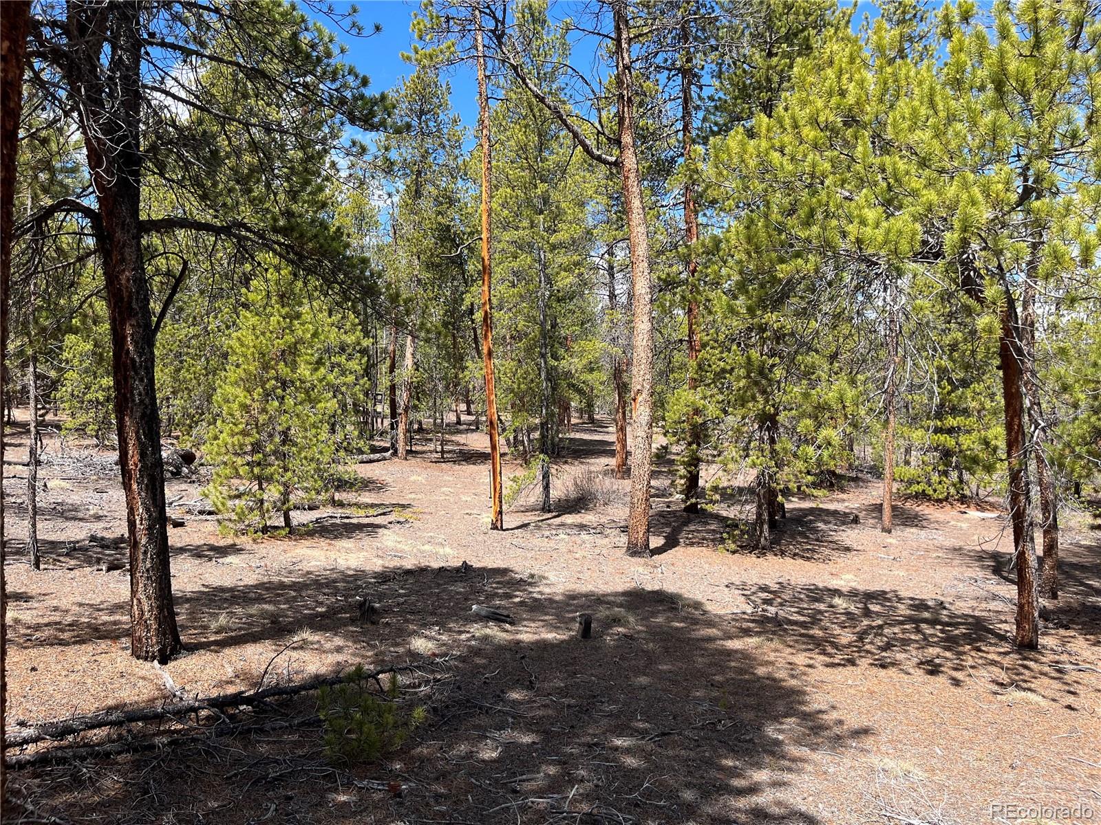 1013 Sequoia Drive Twin Lakes CO 81251