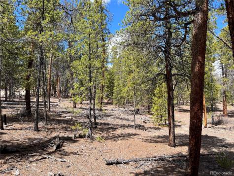1013 Sequoia Drive Twin Lakes CO 81251