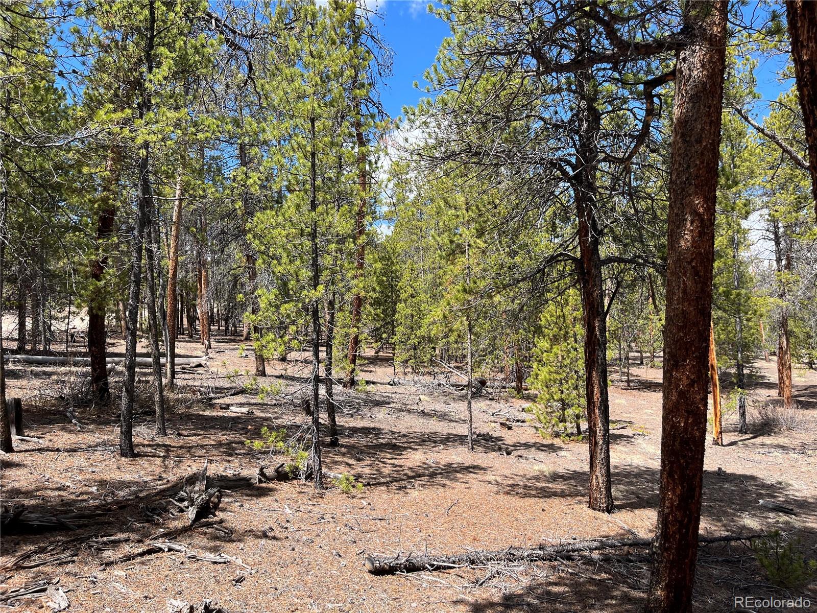 1013 Sequoia Drive Twin Lakes CO 81251