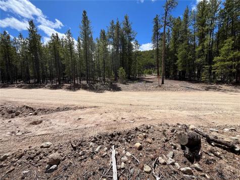 1013 Sequoia Drive Twin Lakes CO 81251