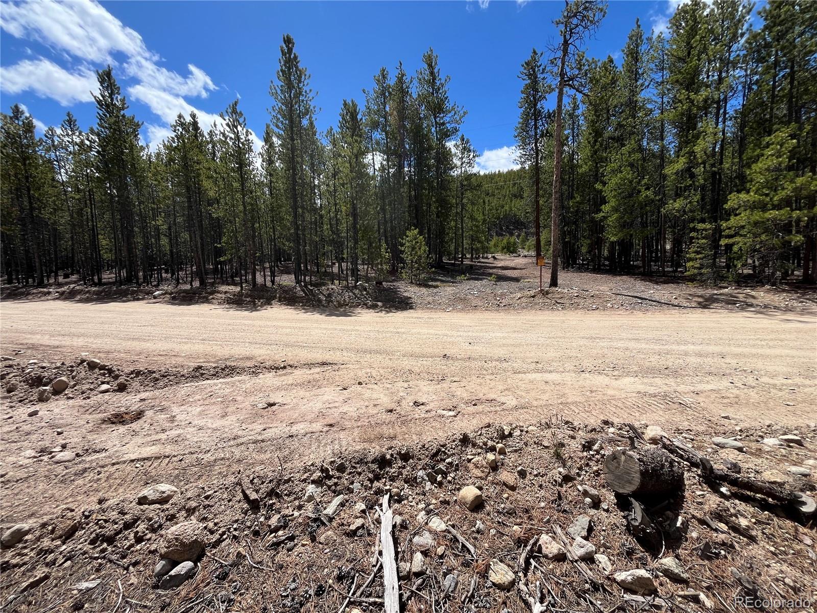 1013 Sequoia Drive Twin Lakes CO 81251