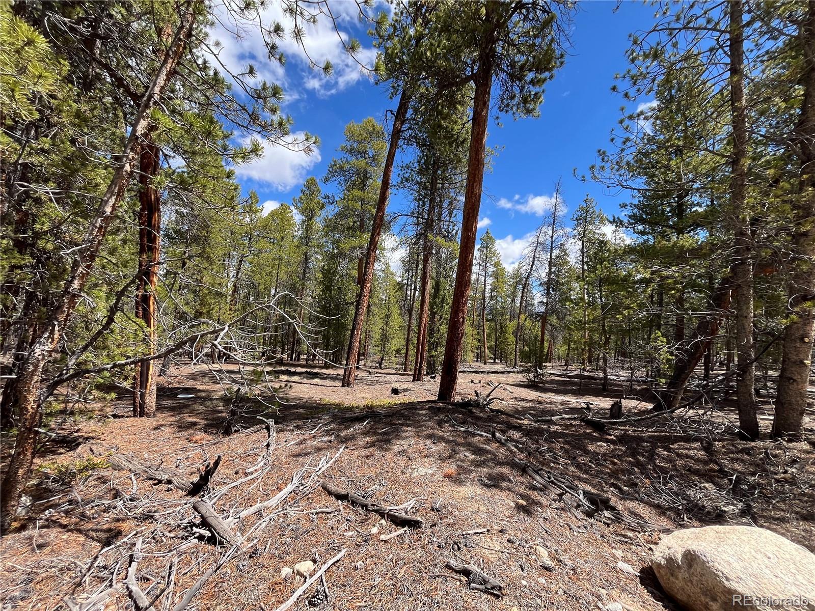 1013 Sequoia Drive Twin Lakes CO 81251