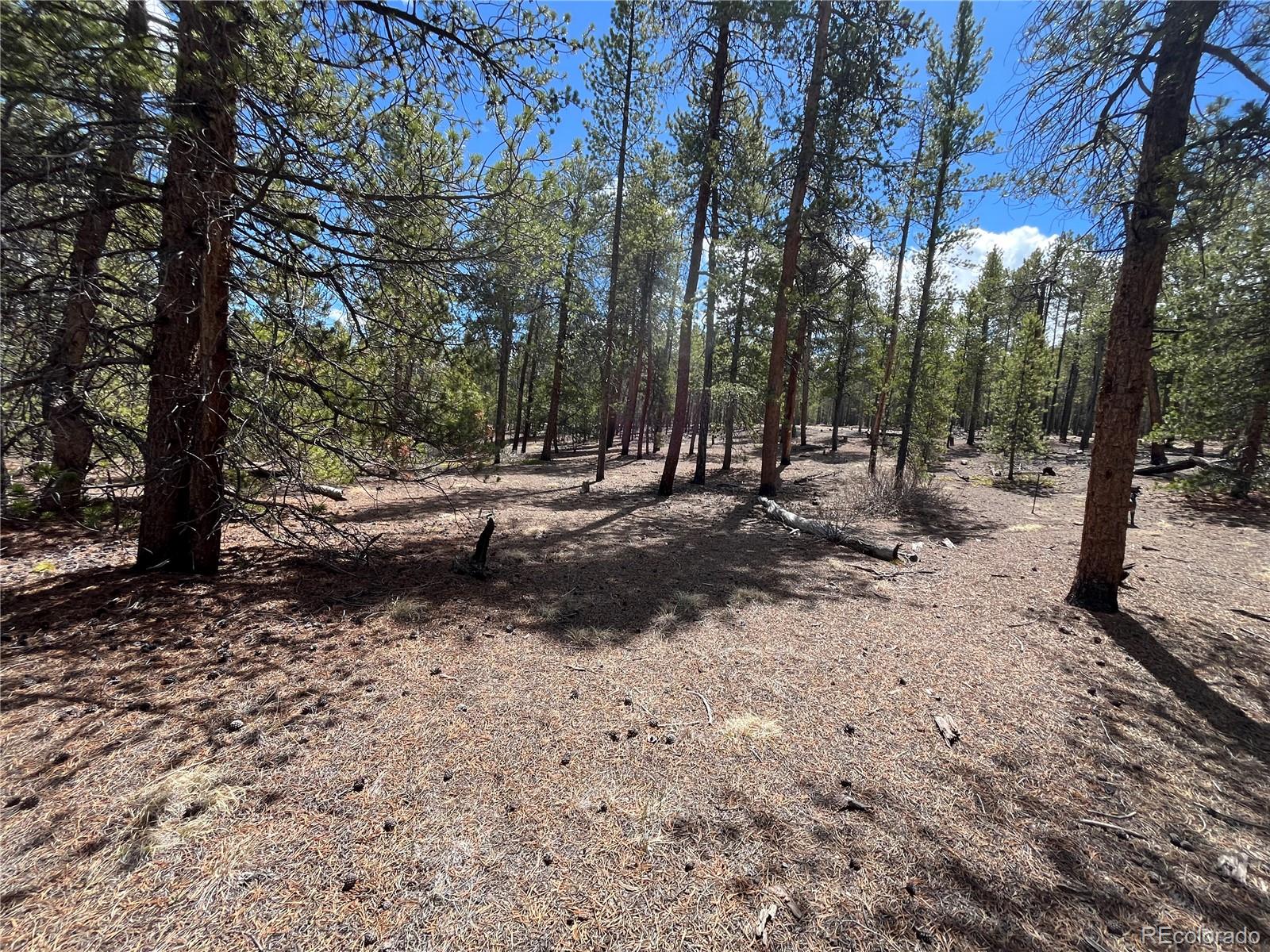 1013 Sequoia Drive Twin Lakes CO 81251