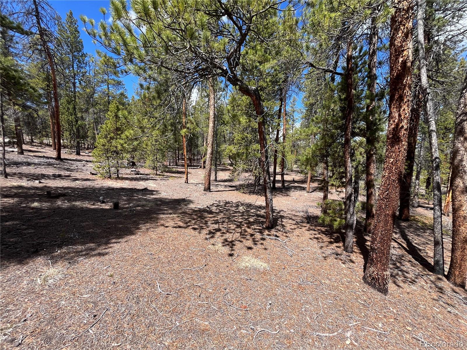 1013 Sequoia Drive Twin Lakes CO 81251