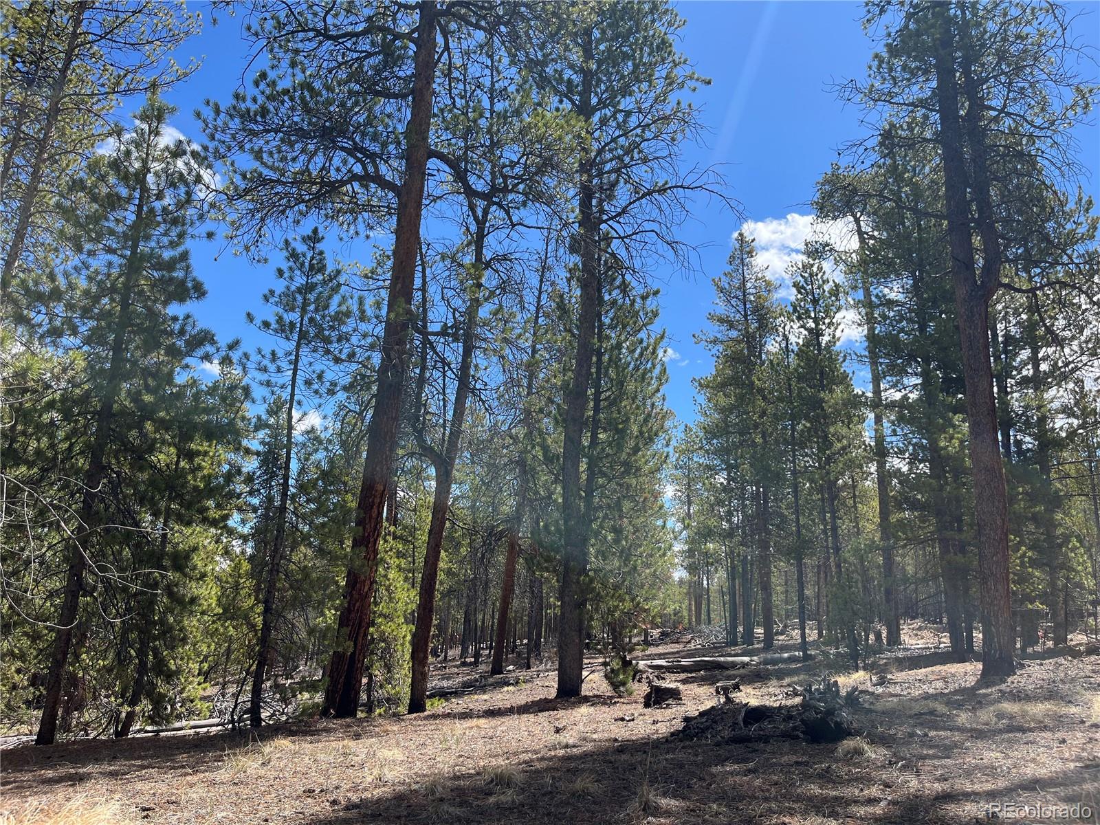 1013 Sequoia Drive Twin Lakes CO 81251