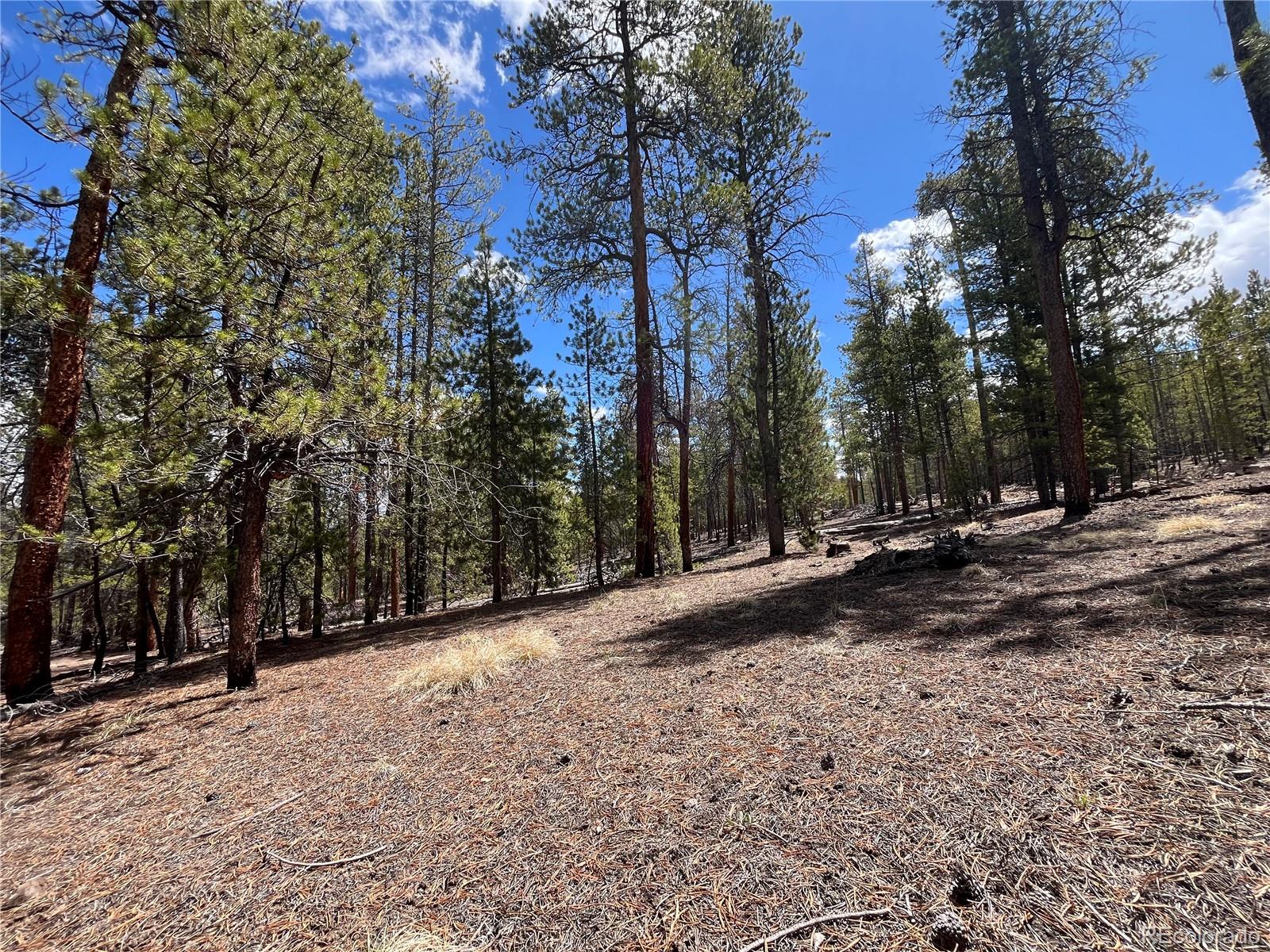 1013 Sequoia Drive Twin Lakes CO 81251