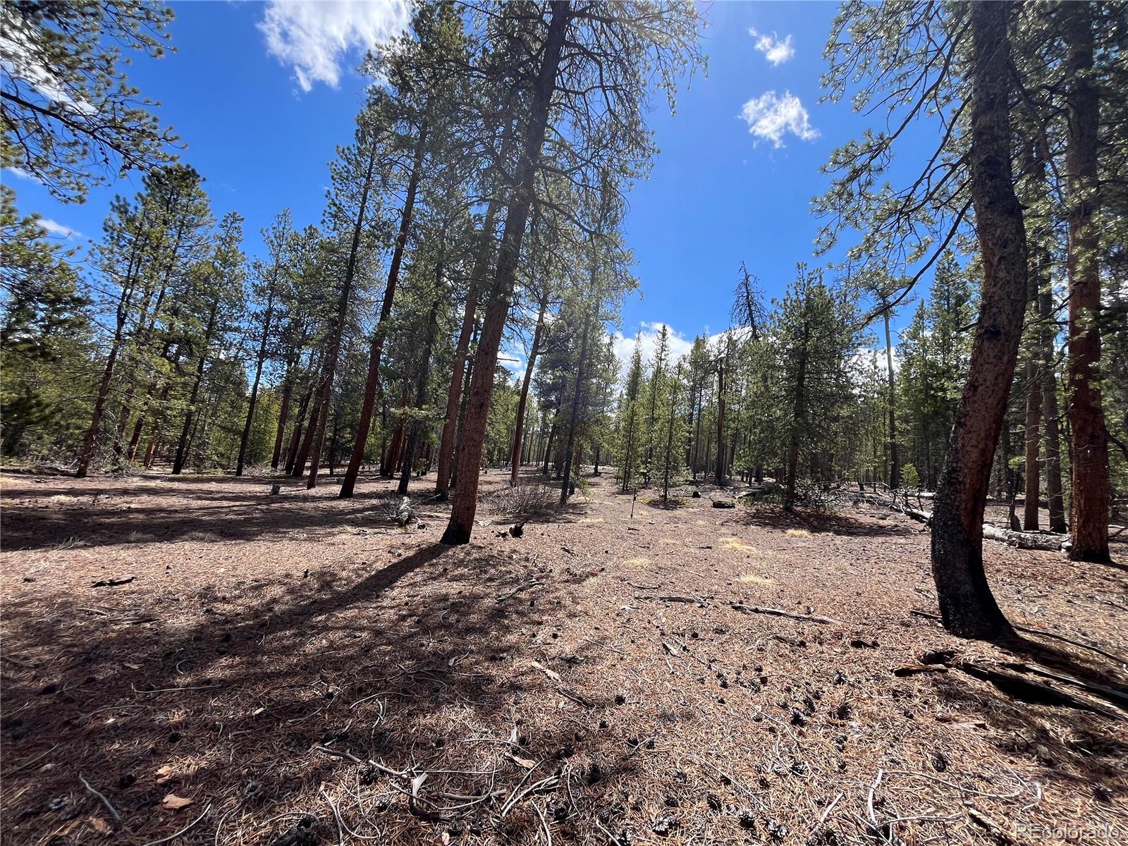 1013 Sequoia Drive Twin Lakes CO 81251