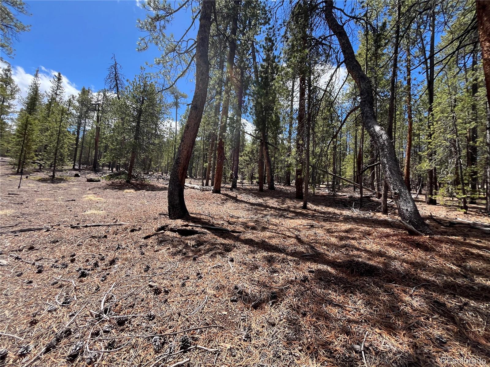 1013 Sequoia Drive Twin Lakes CO 81251