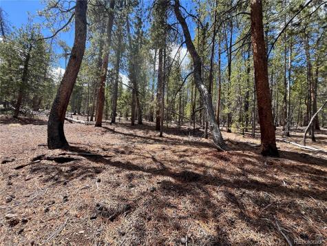 1013 Sequoia Drive Twin Lakes CO 81251