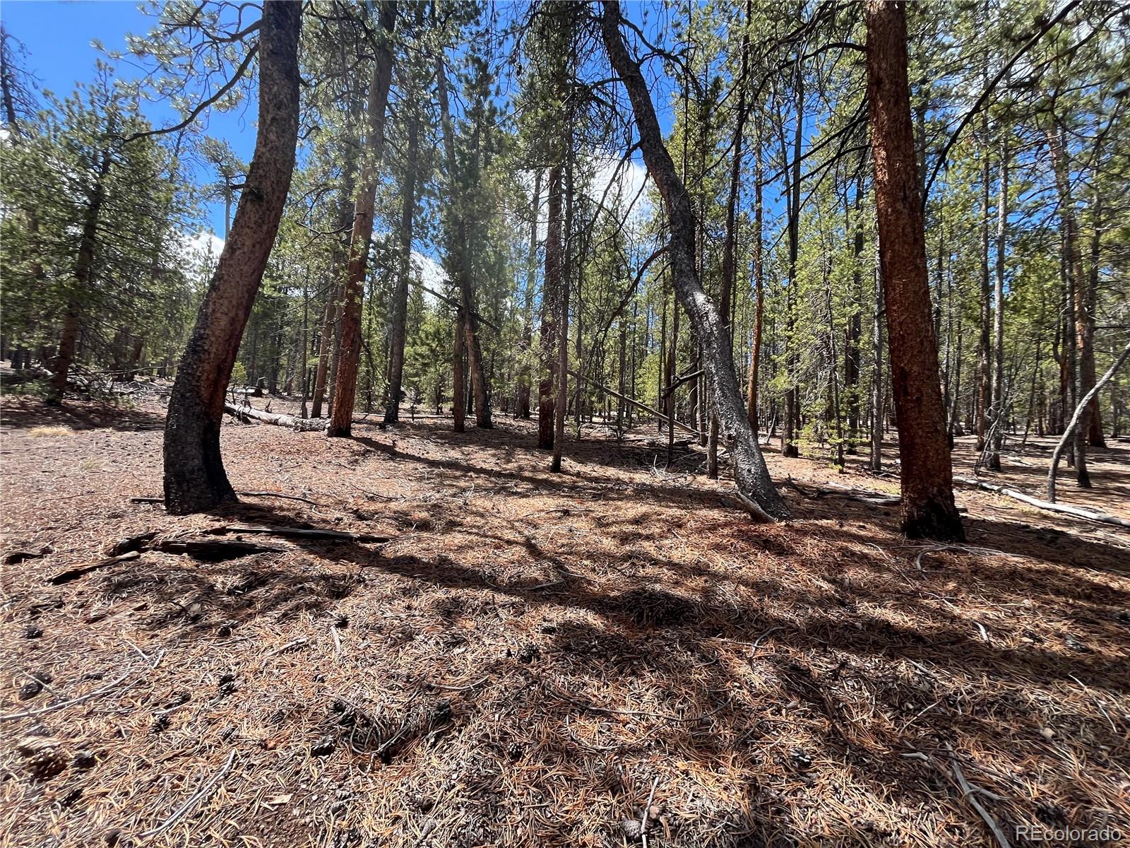 1013 Sequoia Drive Twin Lakes CO 81251
