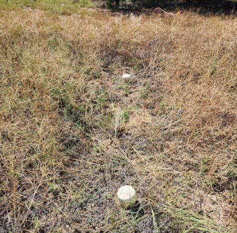 739 17th Trail Cotopaxi CO 81223