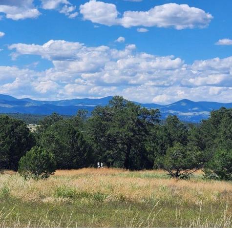 739 17th Trail Cotopaxi CO 81223