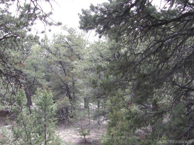 4186 Caprice Way Crestone CO 81131
