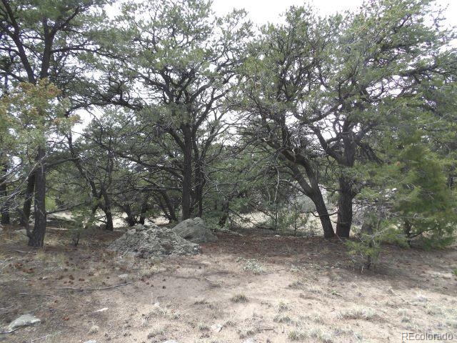 4186 Caprice Way Crestone CO 81131