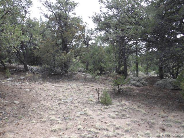 4186 Caprice Way Crestone CO 81131