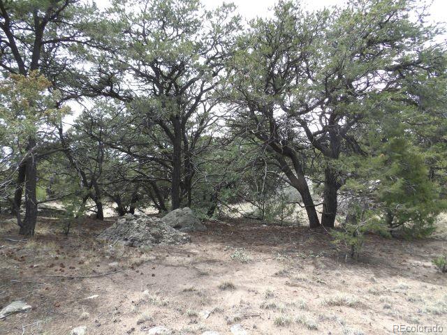 4186 Caprice Way Crestone CO 81131