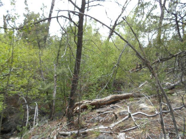 4186 Caprice Way Crestone CO 81131