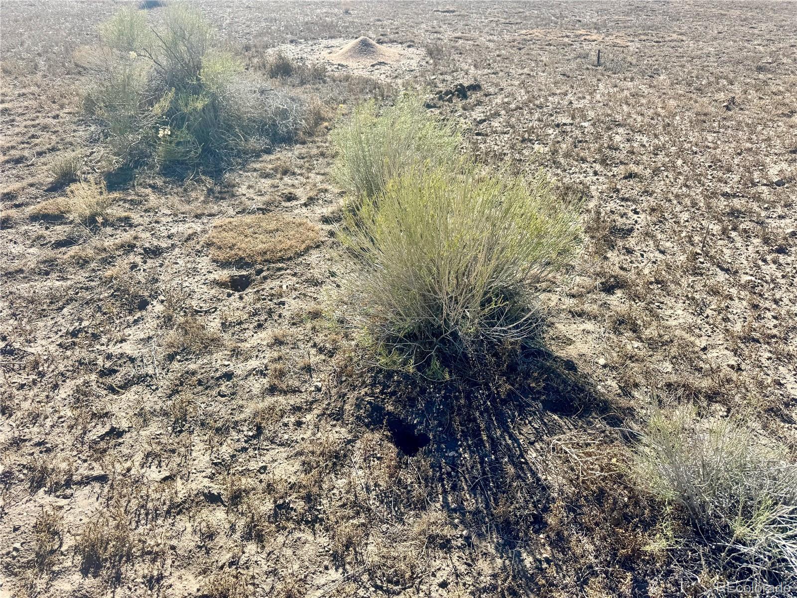 Lot 65 Kelly Avenue San Luis CO 81152