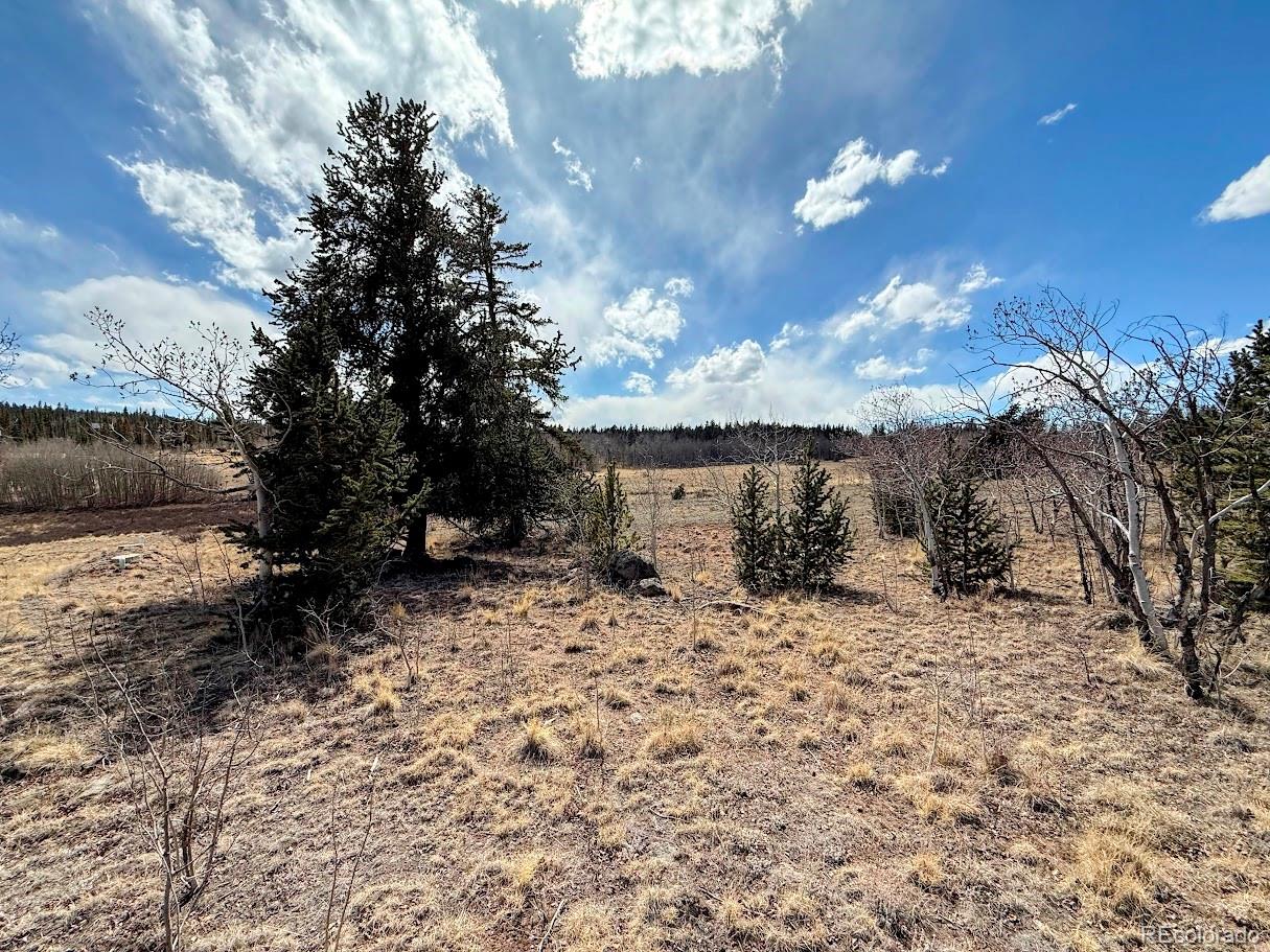 1238 Overland Circle Jefferson CO 80456