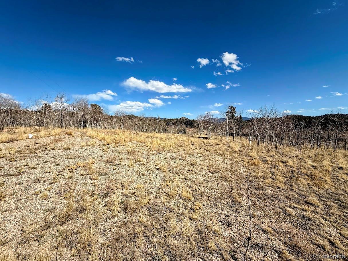 1238 Overland Circle Jefferson CO 80456