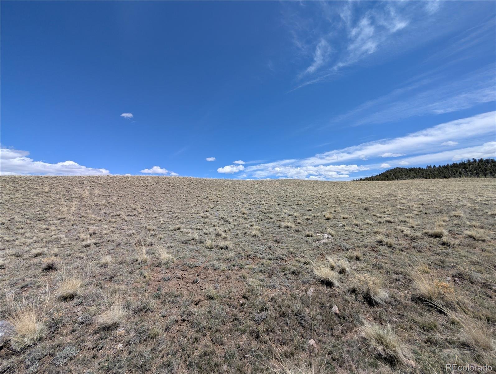 Athapascan Road Hartsel CO 80449