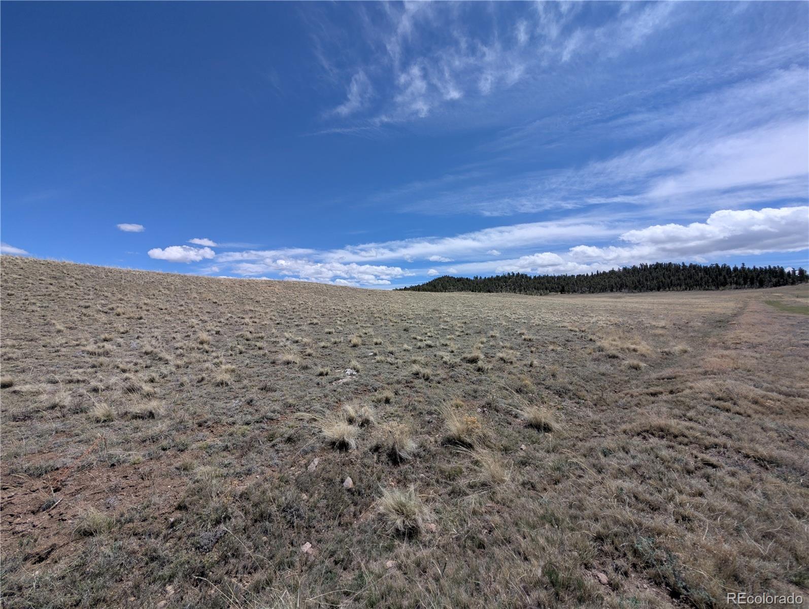 Athapascan Road Hartsel CO 80449