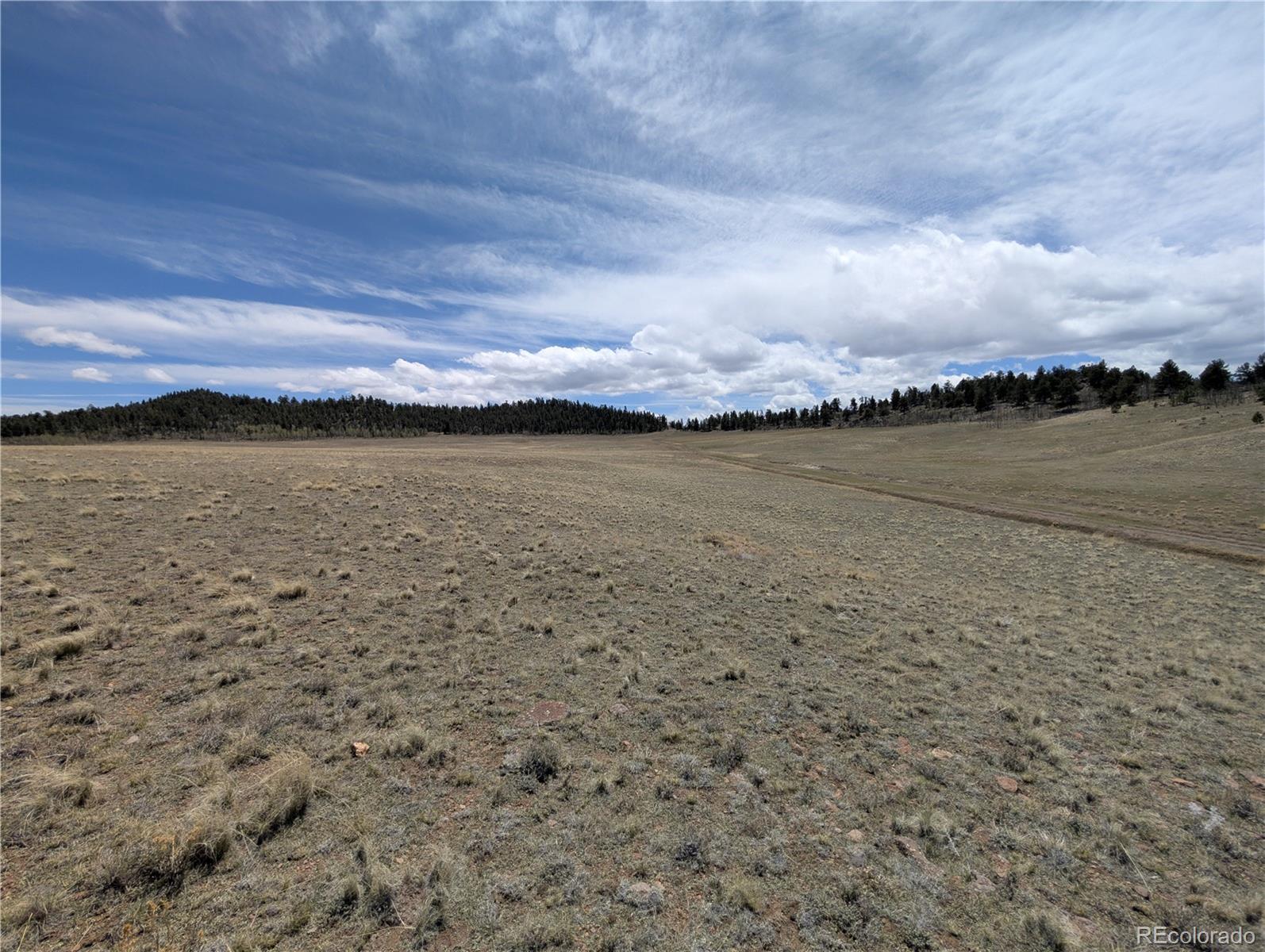 Athapascan Road Hartsel CO 80449