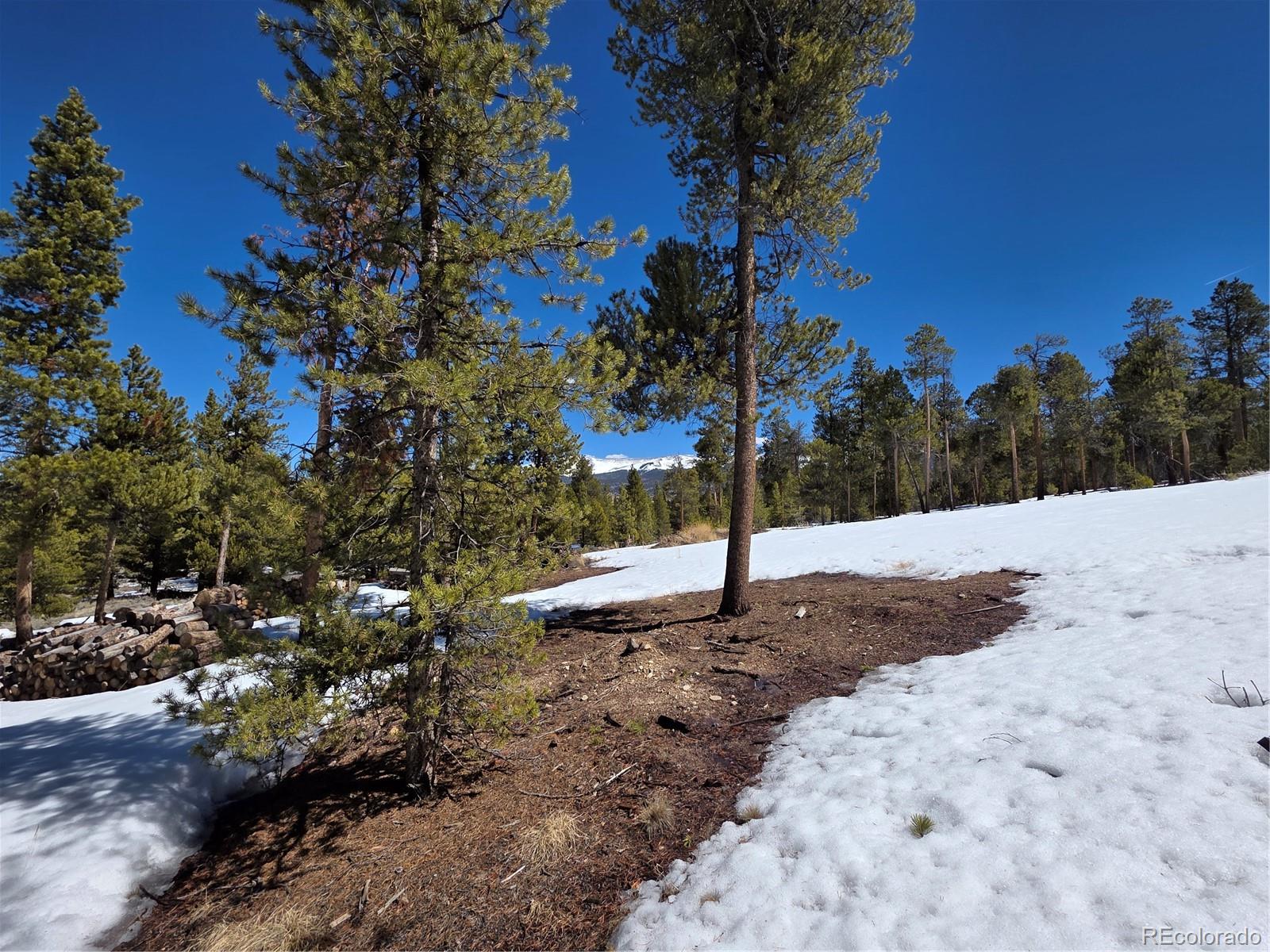 378 Ponderosa Drive Twin Lakes CO 81251