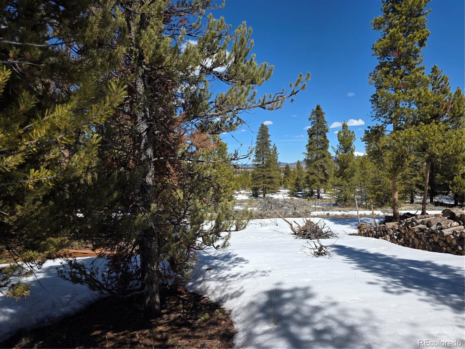 378 Ponderosa Drive Twin Lakes CO 81251