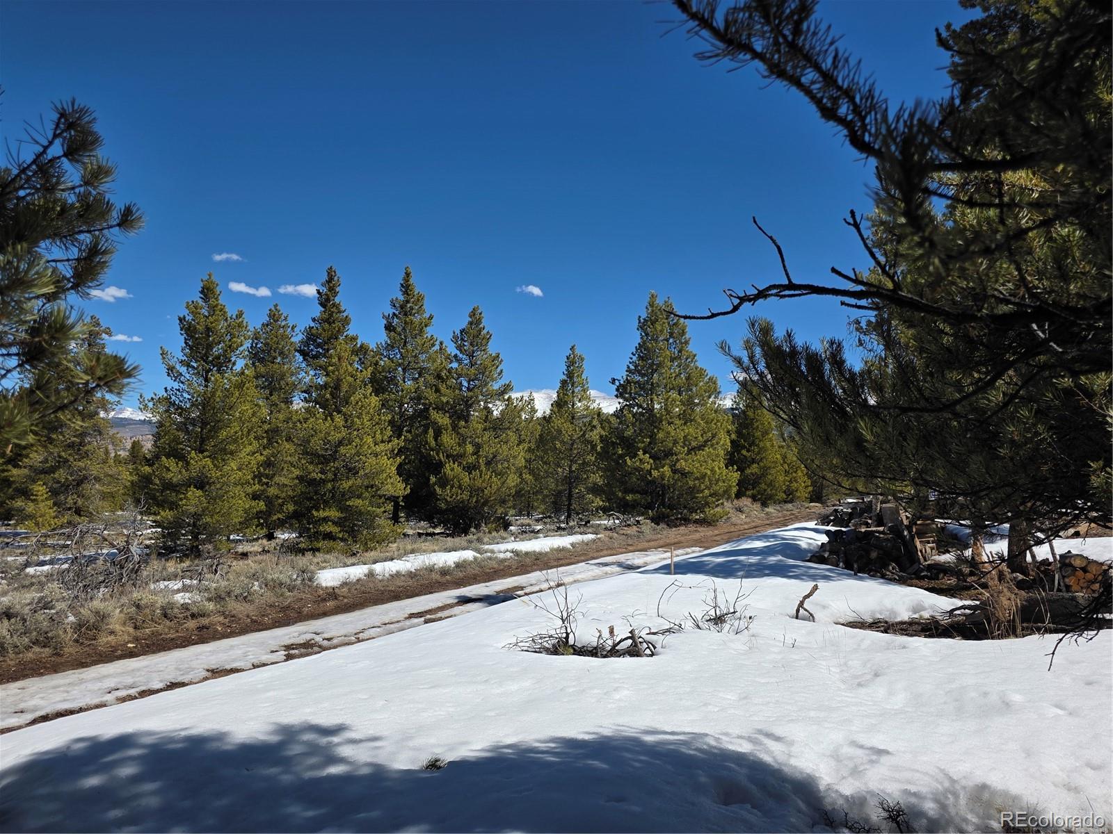 378 Ponderosa Drive Twin Lakes CO 81251