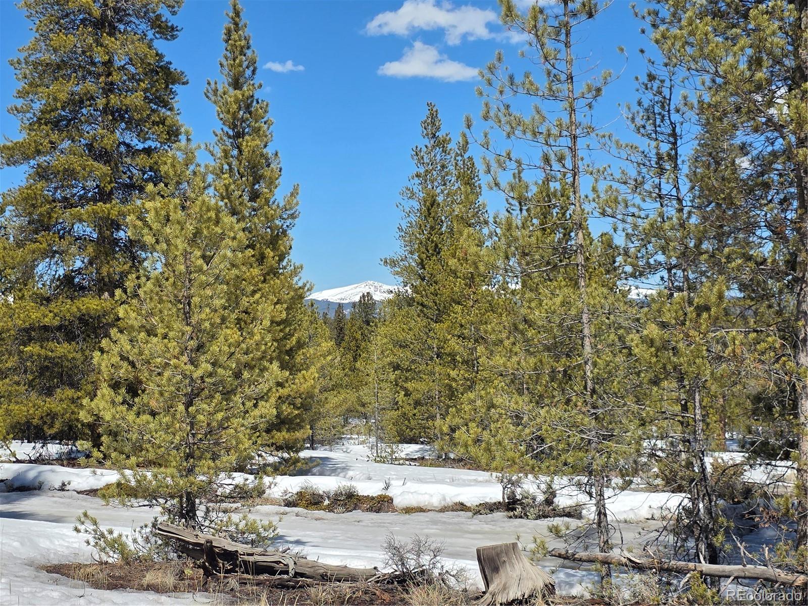 378 Ponderosa Drive Twin Lakes CO 81251