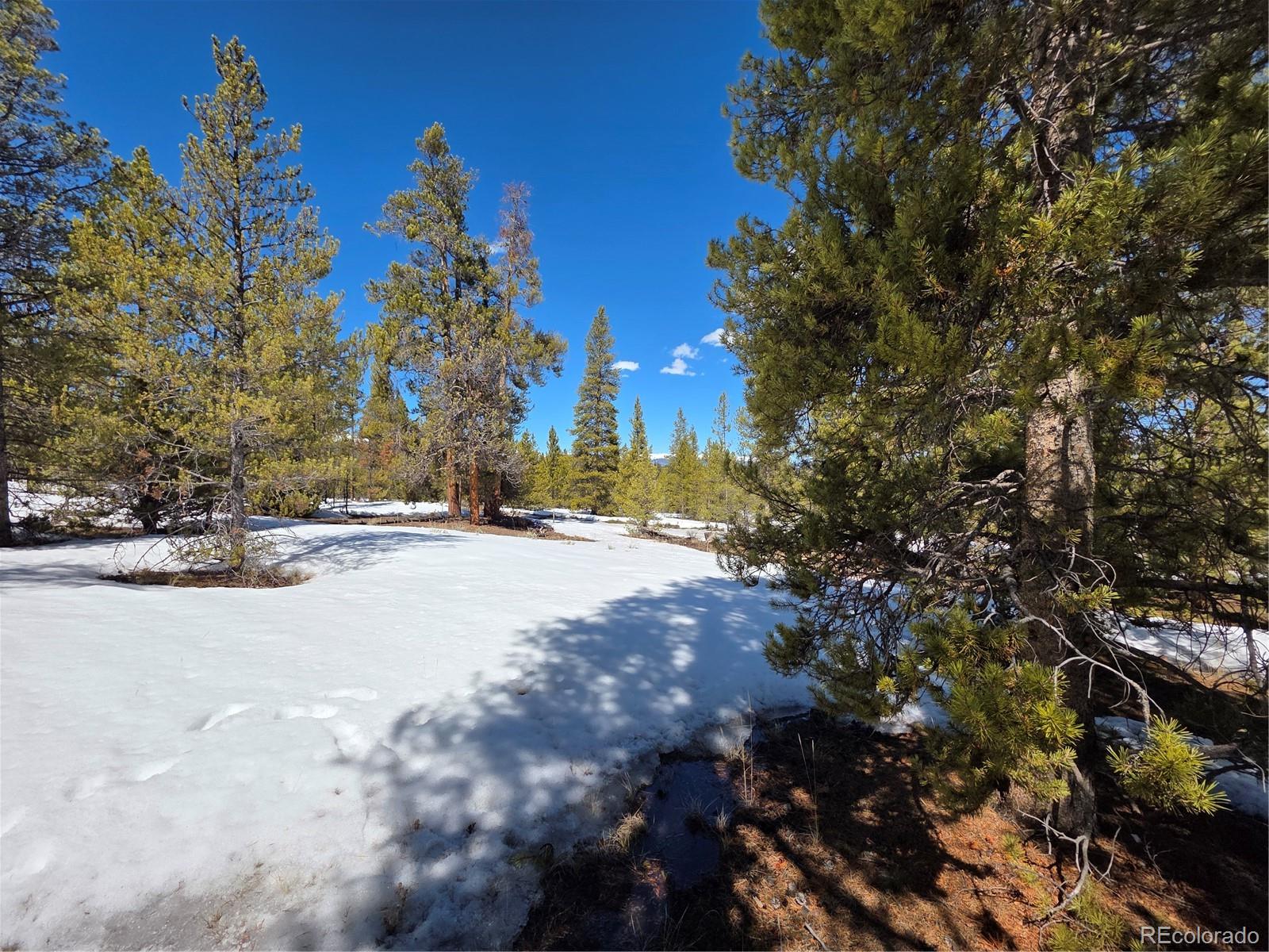 378 Ponderosa Drive Twin Lakes CO 81251