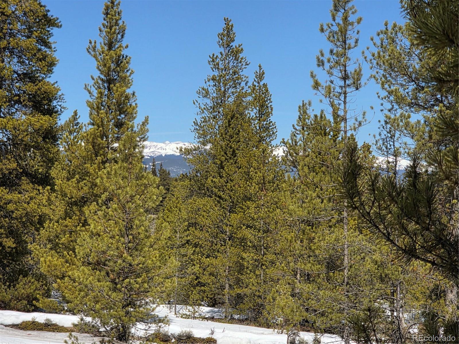 378 Ponderosa Drive Twin Lakes CO 81251