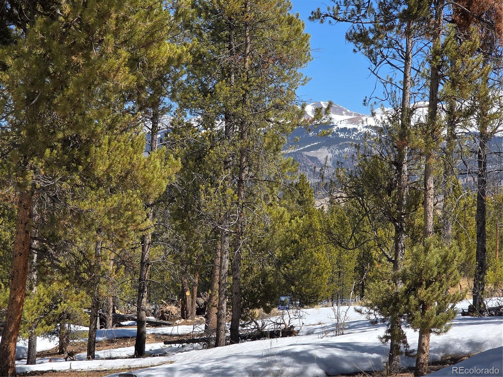 378 Ponderosa Drive Twin Lakes CO 81251