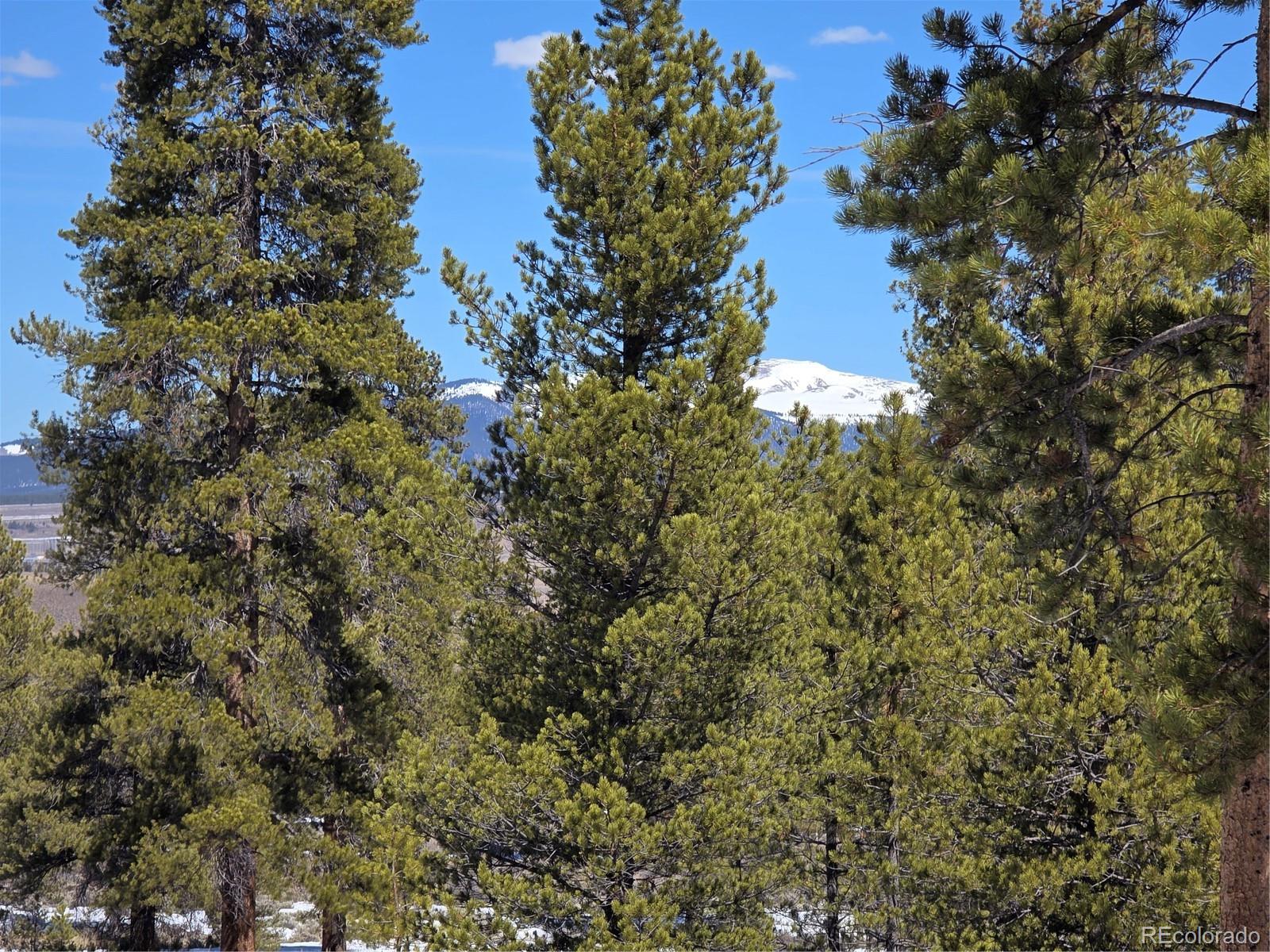 378 Ponderosa Drive Twin Lakes CO 81251