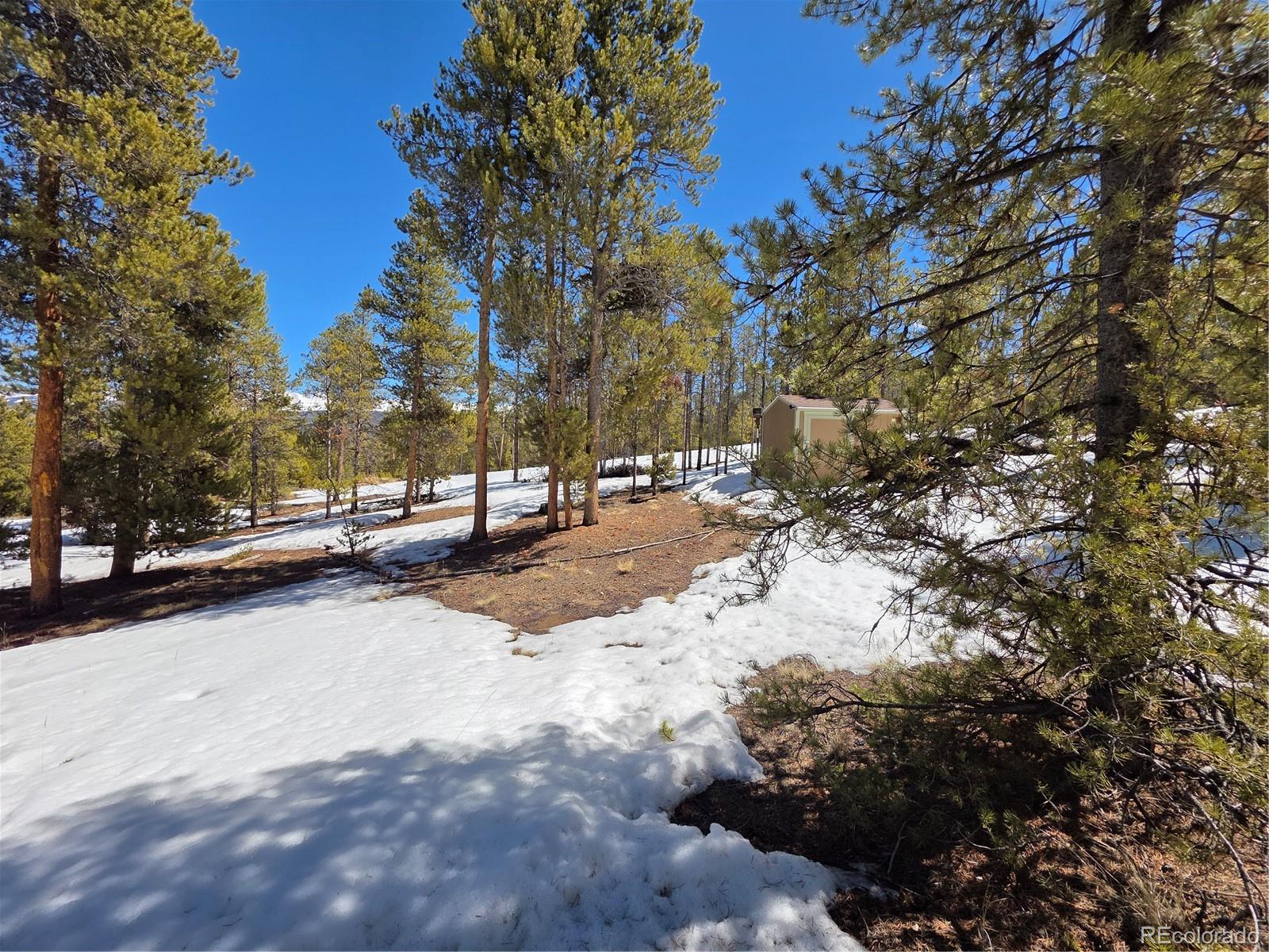 378 Ponderosa Drive Twin Lakes CO 81251
