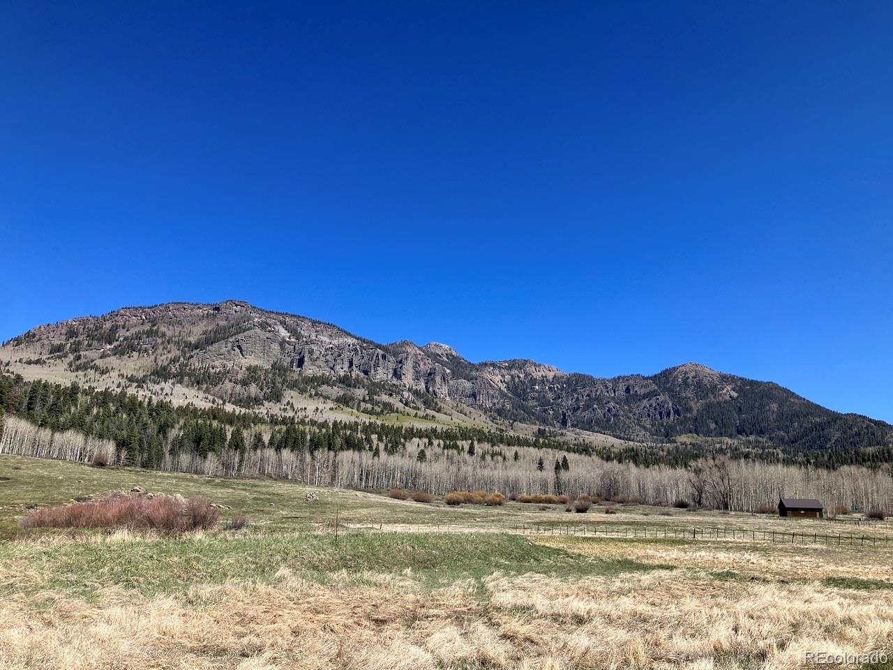 212 Camp Robber Drive Creede CO 81130