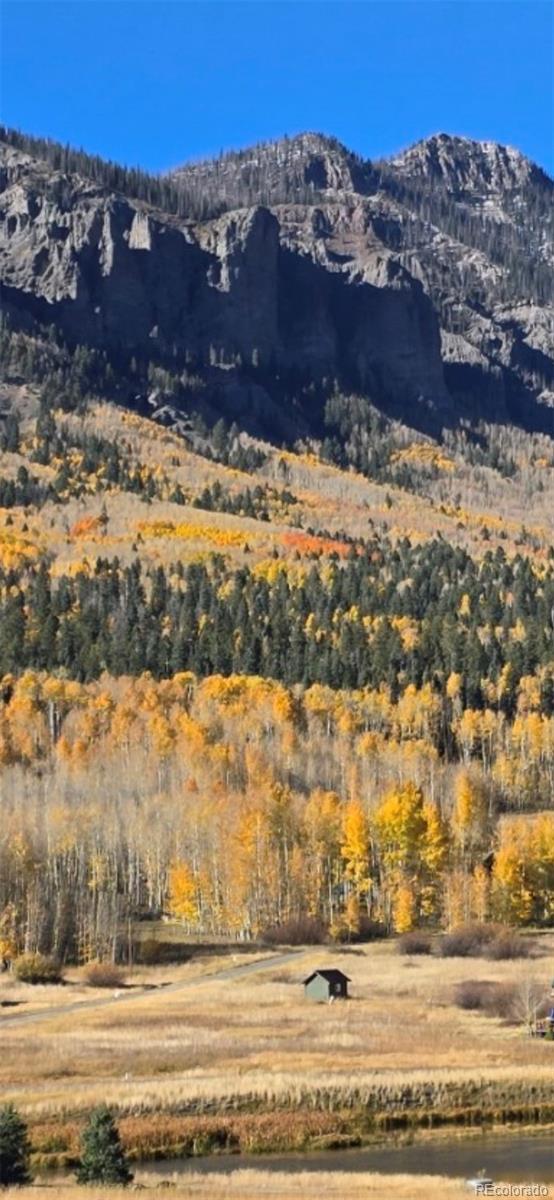 212 Camp Robber Drive Creede CO 81130