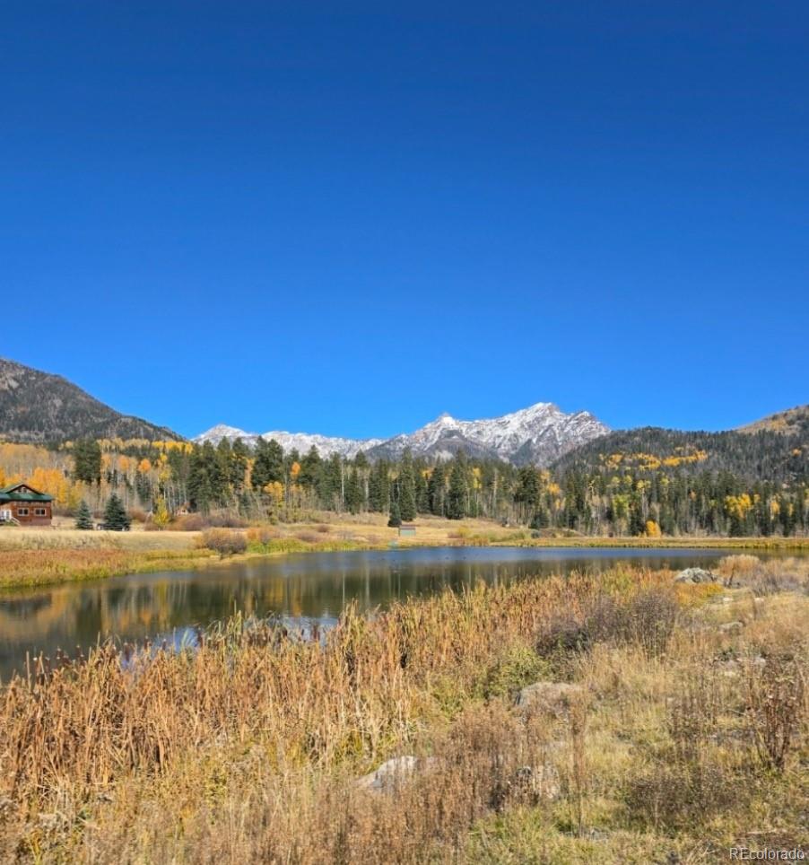 212 Camp Robber Drive Creede CO 81130